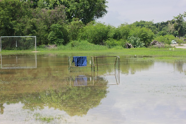 无数关注 无数关注