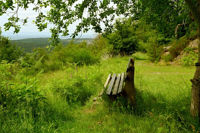 概率模型将 概率模型将