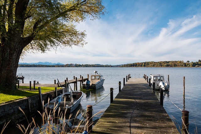 引用阿尔卑 引用阿尔卑