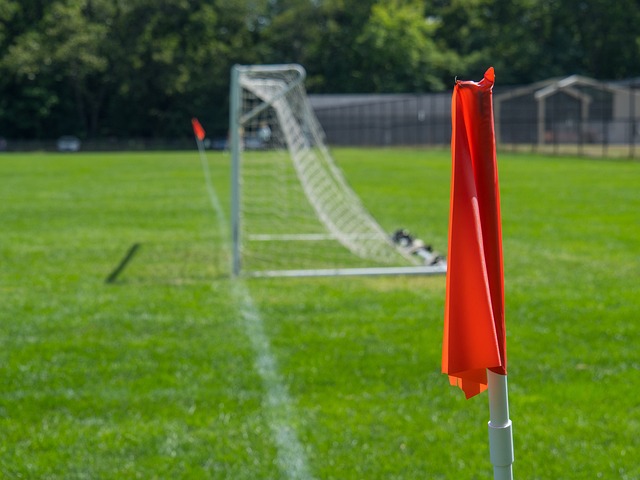 了靈活的 了靈活的