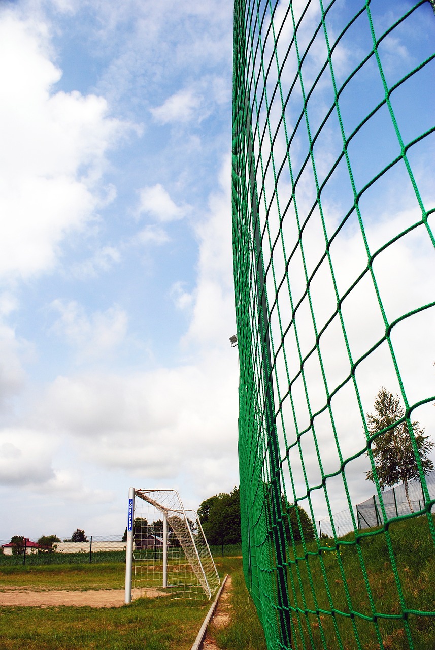 取得了辉煌 取得了辉煌