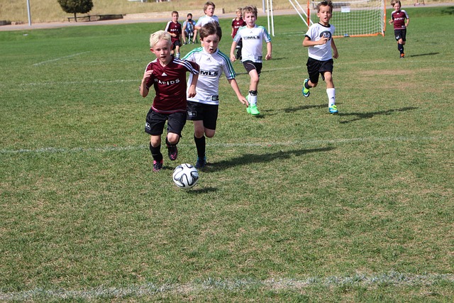 成功的模板 成功的模板